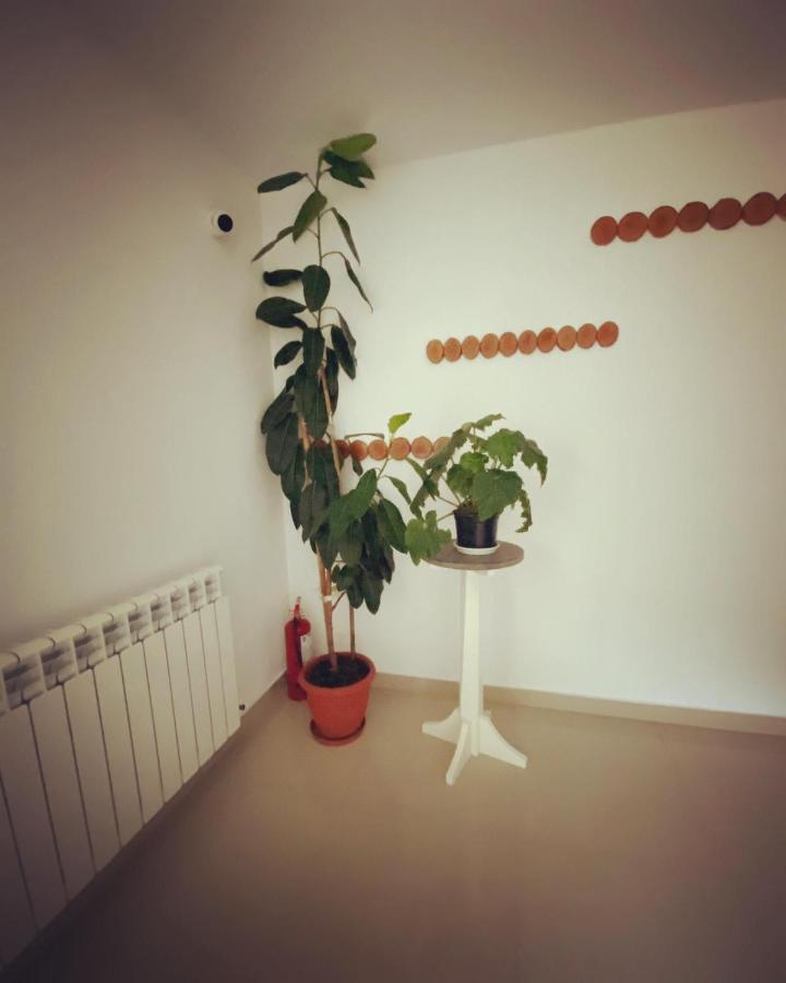 Maison Platanus Voineasa Ngoại thất bức ảnh