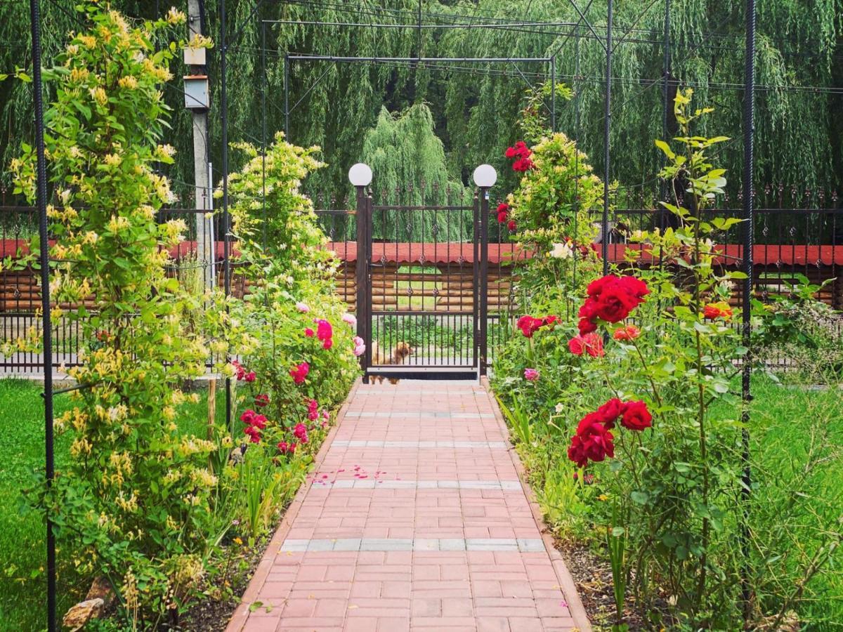 Maison Platanus Voineasa Ngoại thất bức ảnh